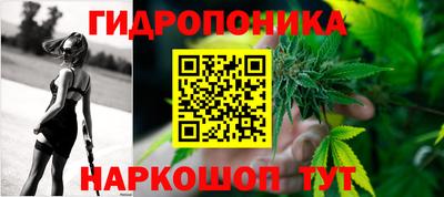 наркотики Будённовск