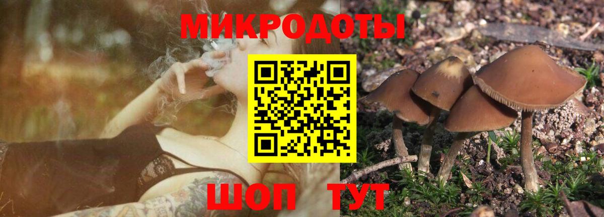 Курганинск  Псилоцибиновые грибы Magic Shrooms  Вход с VPN 
